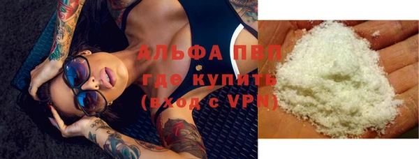 гашик Алексин