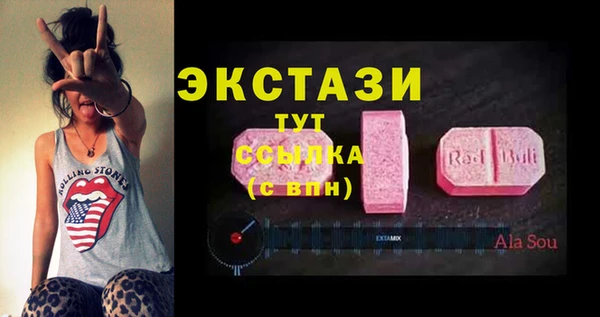 гашик Алексин