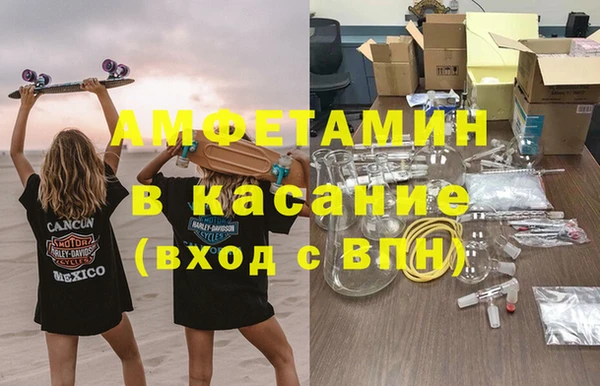 гашик Алексин