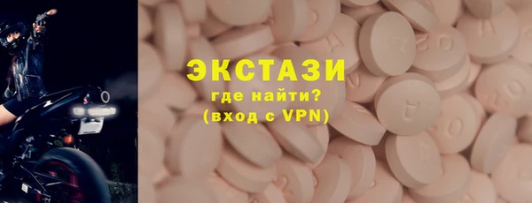 гашик Алексин