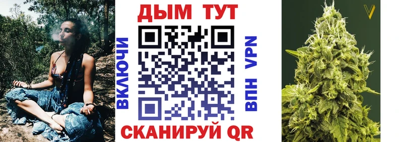 Конопля MAZAR  купить   Майкоп 